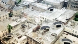 Jak widać, w mieście też można znaleźć dla niej zastosowanie. - zdjęcie 5