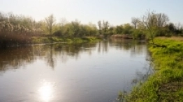 CamperMajstry - zlot inny niż wszystkie - zdjęcie 4