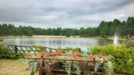 CamperTeam „zleciał się” po raz 46. - zdjęcie 20