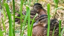 CamperTeam „zleciał się” po raz 46. - zdjęcie 38