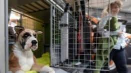 Caravaning na targach CMT 2017 (+zdjęcia) - zdjęcie 52