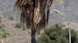 Costa Tropical - hiszpańskia Nerja ozazą New Age - zdjęcie 1