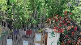 Costa Tropical - hiszpańskia Nerja ozazą New Age - zdjęcie 4