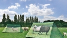 W takim środowisku taki namiot robi wrażenie  – kamuflaż prawie idealny - zdjęcie 1