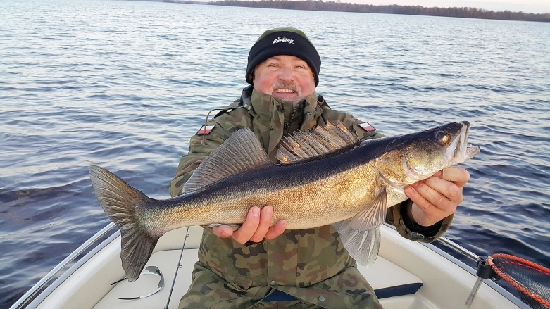 Do Szwecji na sandacze