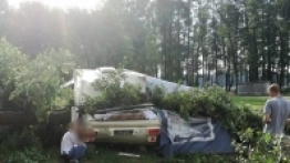 Drzewo spadło na przyczepę, 12-letnie dziecko w szpitalu - zdjęcie 1