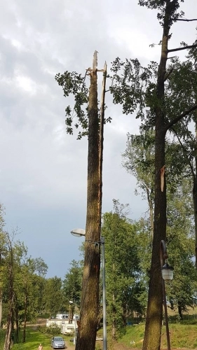 Drzewo spadło na przyczepę, 12-letnie dziecko w szpitalu - zdjęcie 4