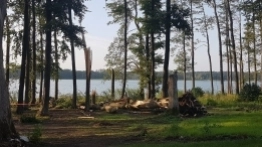 Drzewo spadło na przyczepę, 12-letnie dziecko w szpitalu - zdjęcie 6