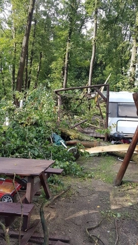 Drzewo spadło na przyczepę, 12-letnie dziecko w szpitalu - zdjęcie 8