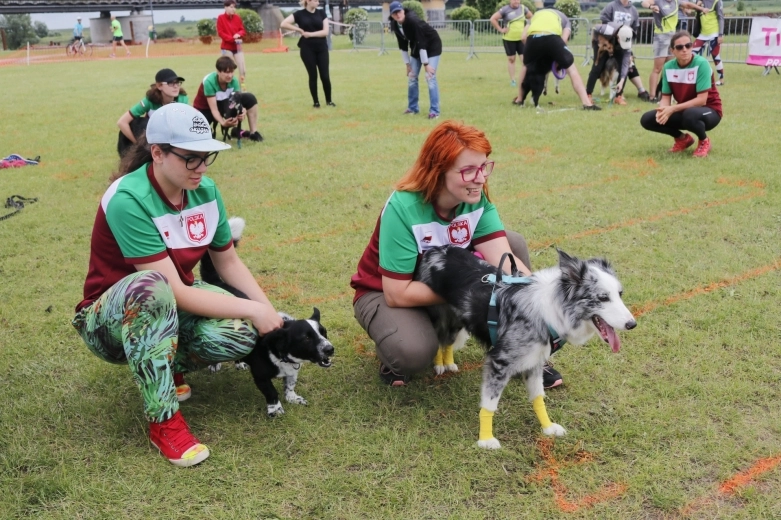 Flyball, czyli wyścigi psich sztafet