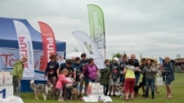 Flyball, czyli wyścigi psich sztafet - zdjęcie 7