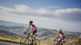 Food Valley – idealne miejsce dla miłośników jedzenia - zdjęcie 1