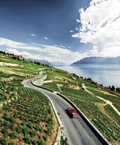 Winnice Lavaux - zdjęcie 4