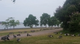 Helsinki na weekend - zdjęcie 16