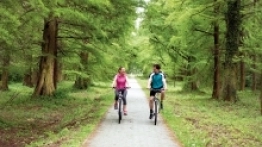 Okolice miasta obfitują w oznakowane ścieżki rowerowe - zdjęcie 3