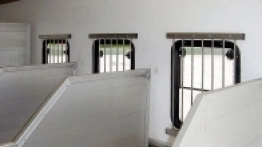 Kamper do przewozu koni - zdjęcie 8