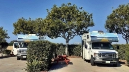 Każde stanowisko jest ogrodzone żywopłotem - zdjęcie 13