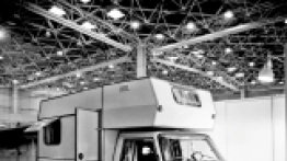 Tarpan N248. - zdjęcie 2