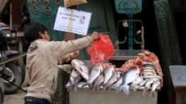 Katmandu i Himalaje - zdjęcie 4