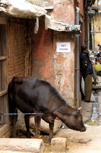 Katmandu i Himalaje - zdjęcie 24