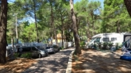 Kempingowanie na chorwackiej wyspie - zdjęcie 9