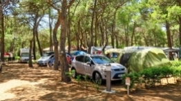 Kempingowanie na chorwackiej wyspie - zdjęcie 10