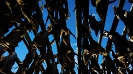 Lofoty – mekka wędkarzy - zdjęcie 2