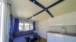 Luksusowe holenderki - zdjęcie 1