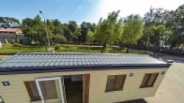 Luksusowe holenderki - zdjęcie 2