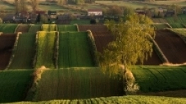 Antoniówka w kwietniu - Polskie Krajobrazy - zdjęcie 1