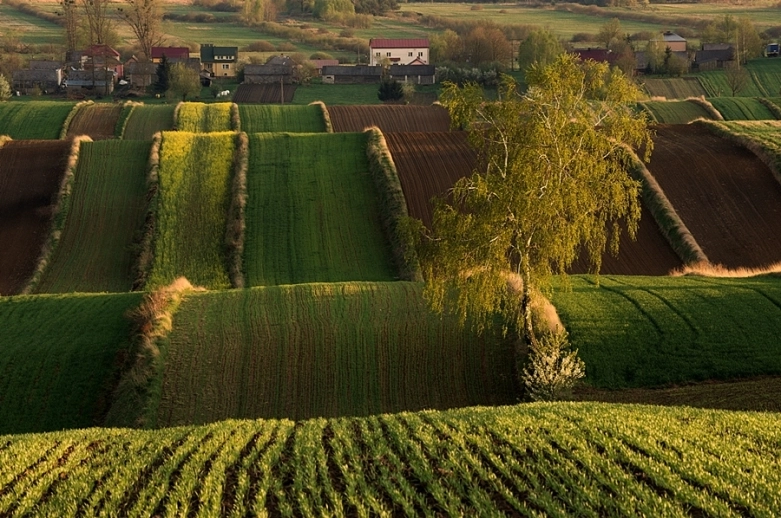 Magiczne Roztocze część I
