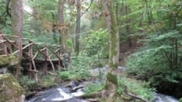 Rezerwat Czartowe Pole w Hamerni - Nad Strumykiem - zdjęcie 2