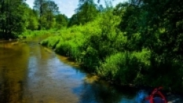 roztocze-kajaki - Lubelskie rowerem - zdjęcie 3