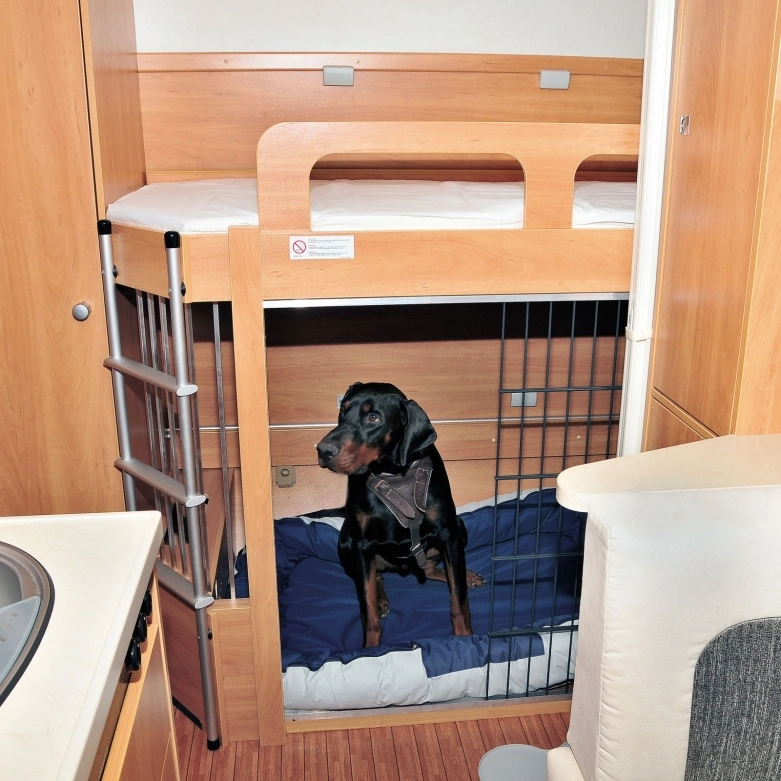 W szwajcarskim Dog Camper pies może mieć także legowisko pod piętrowym łóżkiem przyczepy - zdjęcie 7