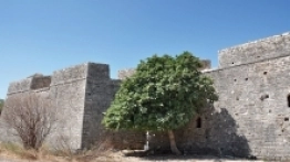 Zamek Ali Paszy – grube murzyska, labirynt korytarzy, czysta historia, żadnej komercji. - zdjęcie 2