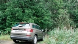 Napęd 4x4 przekłada się na ponadprzeciętne właściwości terenowe auta - zdjęcie 3