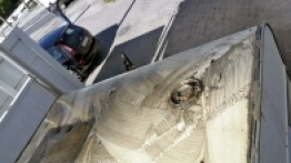 Wystarczą drabina, szczotka,  opryskiwacz 1,75 l i... dobre chęci - zdjęcie 3