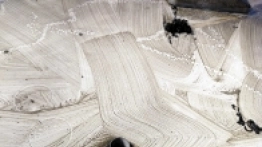 Niska temperatura powietrza  jest naszym sprzymierzeńcem - zdjęcie 4