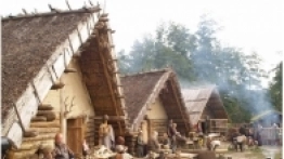 Muzeum Archeologiczne w Biskupinie - zdjęcie 10