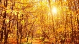 Sierakowski Park Krajobrazowy - zdjęcie 4