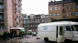 Pastelowy robur - zdjęcie 2