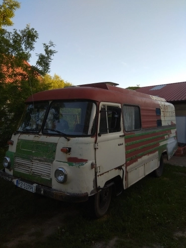 Pastelowy robur - zdjęcie 3