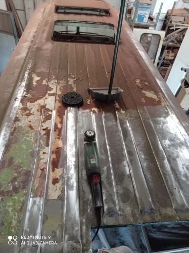 Pastelowy robur - zdjęcie 4