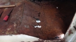 Pastelowy robur - zdjęcie 6