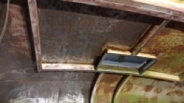 Pastelowy robur - zdjęcie 7