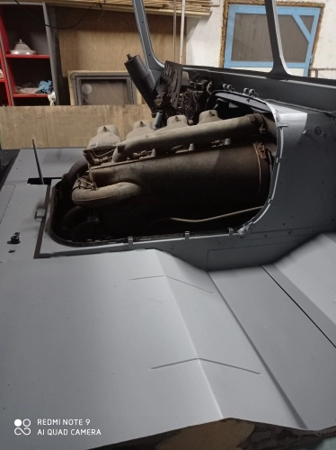 Pastelowy robur - zdjęcie 9