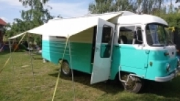 Pastelowy robur - zdjęcie 19