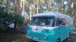 Pastelowy robur - zdjęcie 20