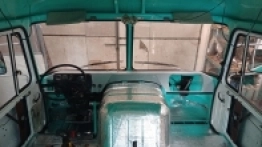 Pastelowy robur - zdjęcie 1