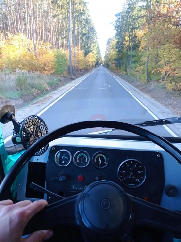 Pastelowy robur - zdjęcie 2